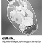 [TR] Stowed Away